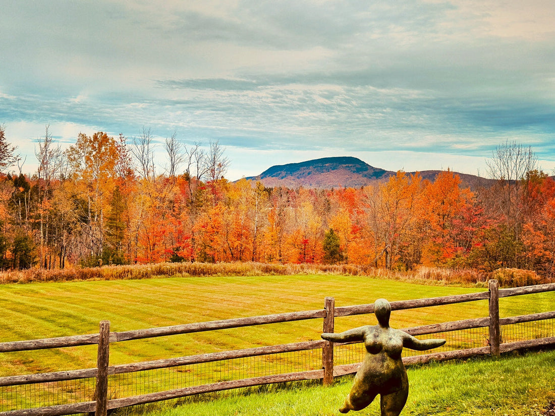 Fall Skincare Reset: How to Renew, Hydrate & Protect Your Skin