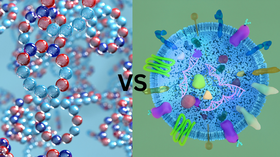 Peptides vs. Exosomes: What They Are, How They Differ, and What Actually Renews Your Skin